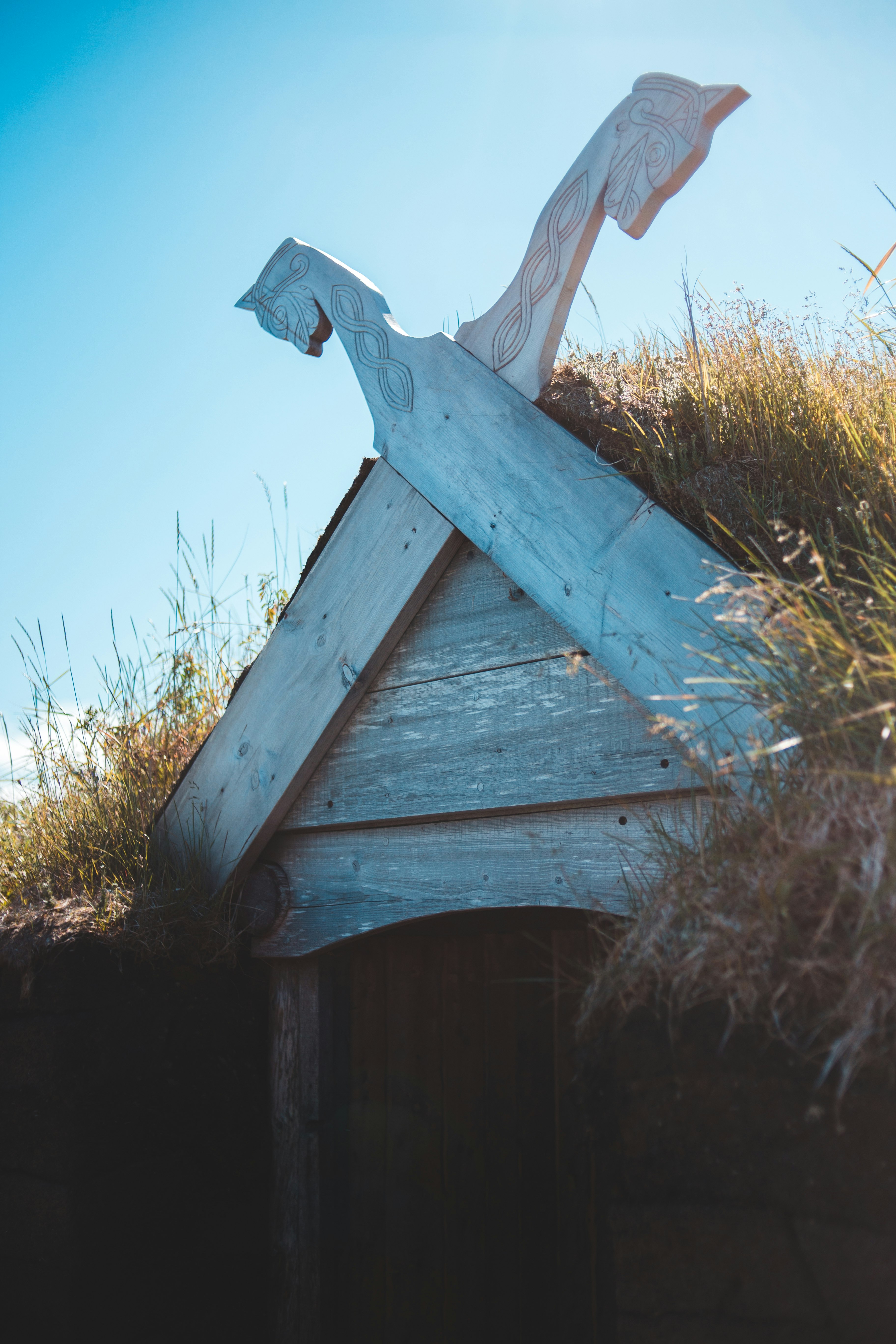 blue wooden bird house on brown grass during daytime